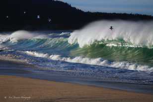 Carmel River Beach Wave-5983